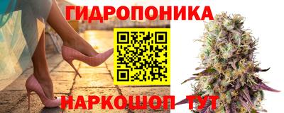 ECSTASY Будённовск
