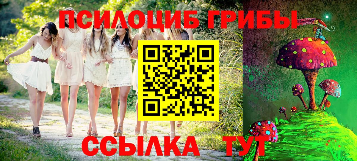 Галлюциногенные грибы Psilocybine cubensis Магнитогорск